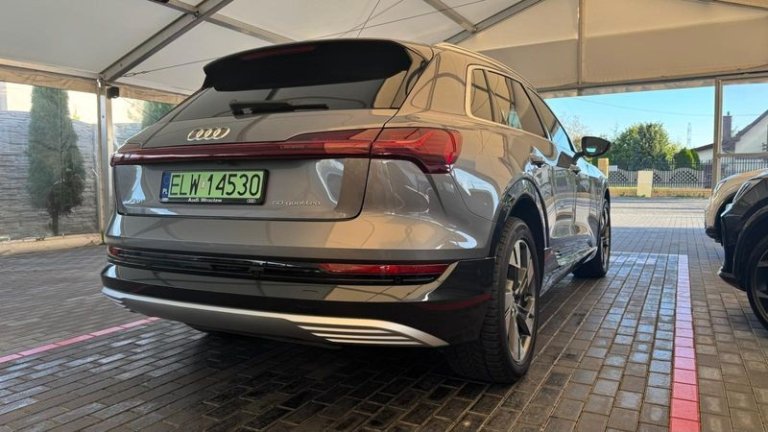 audi-e-tron-2019 (13)