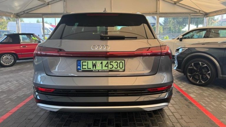 audi-e-tron-2019 (14)