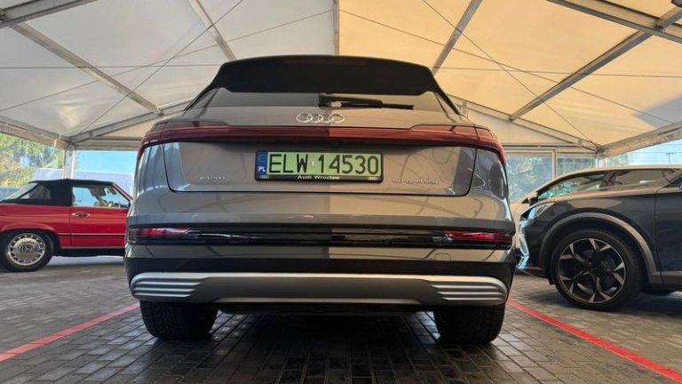 audi-e-tron-2019 (15)