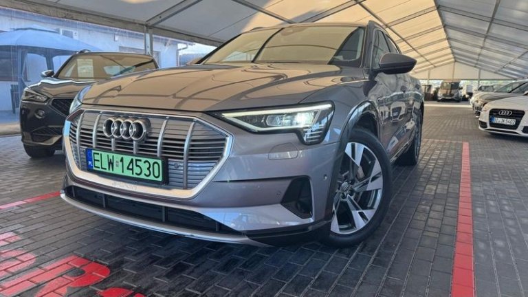 audi-e-tron-2019 (19)