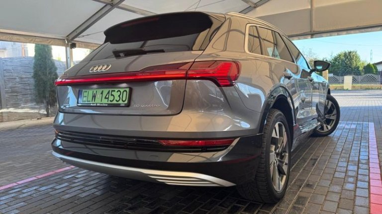 audi-e-tron-2019 (21)