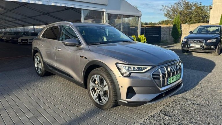 audi-e-tron-2019 (28)