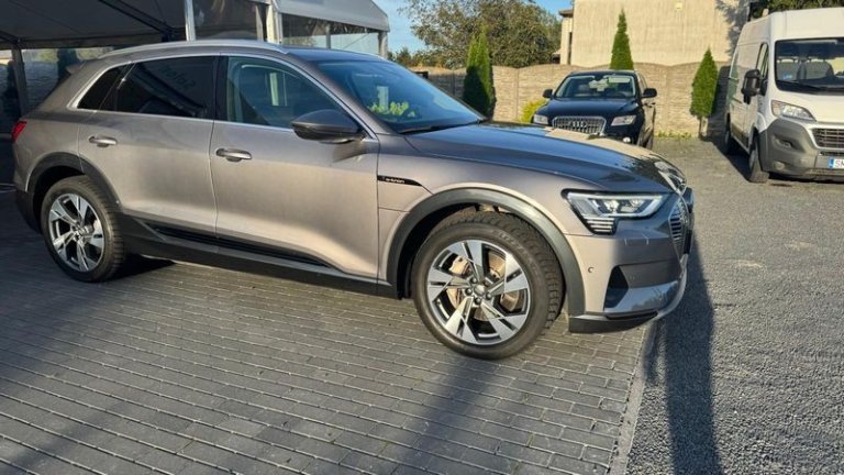 audi-e-tron-2019 (30)