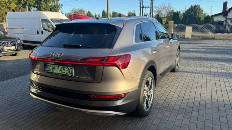 audi-e-tron-2019 (31)