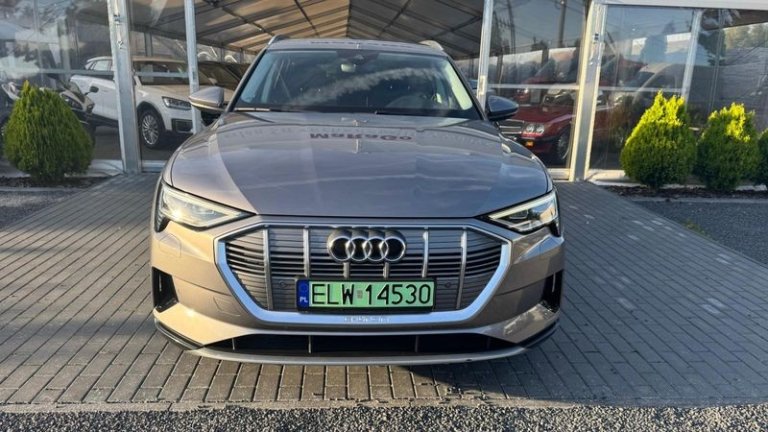 audi-e-tron-2019 (33)