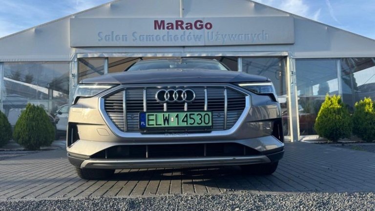 audi-e-tron-2019 (35)