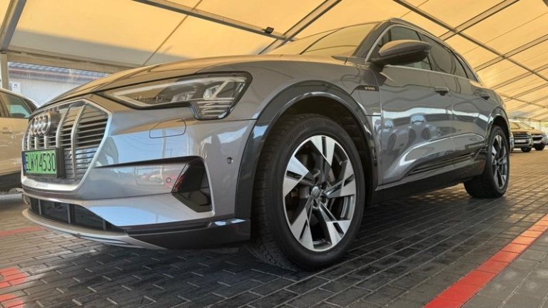 audi-e-tron-2019 (6)