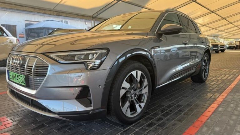 audi-e-tron-2019 (7)