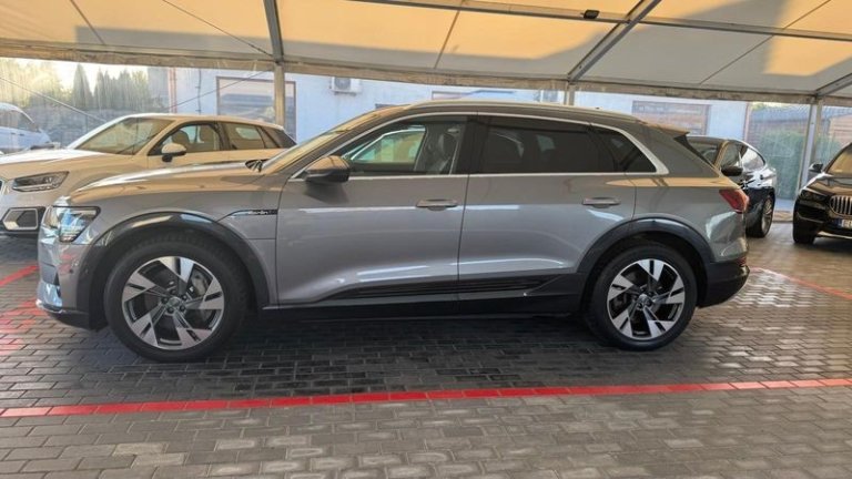 audi-e-tron-2019 (8)