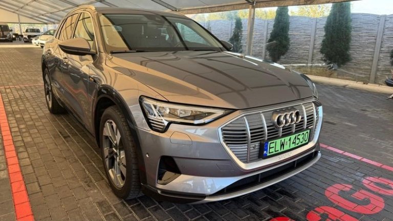 audi-e-tron-2019 (9)