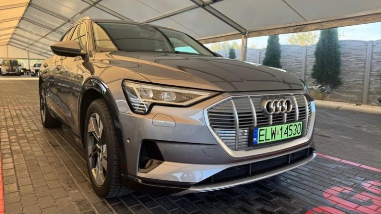 audi-e-tron-2019 (10)