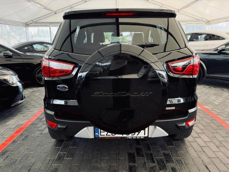 ford-ecosport-2016 (8)