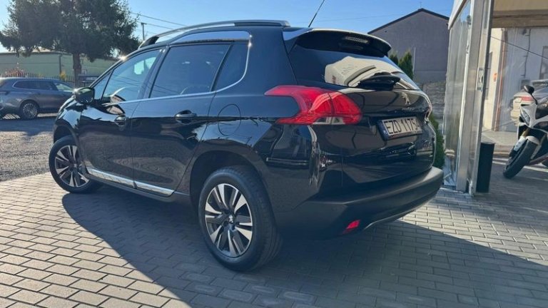 peugeot-2008-120-vti-business-line (11)