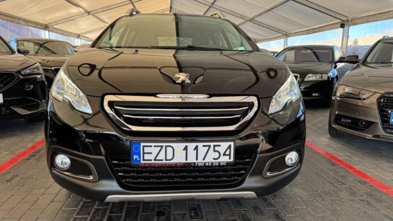 peugeot-2008-120-vti-business-line (30)