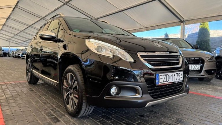 peugeot-2008-120-vti-business-line (31)