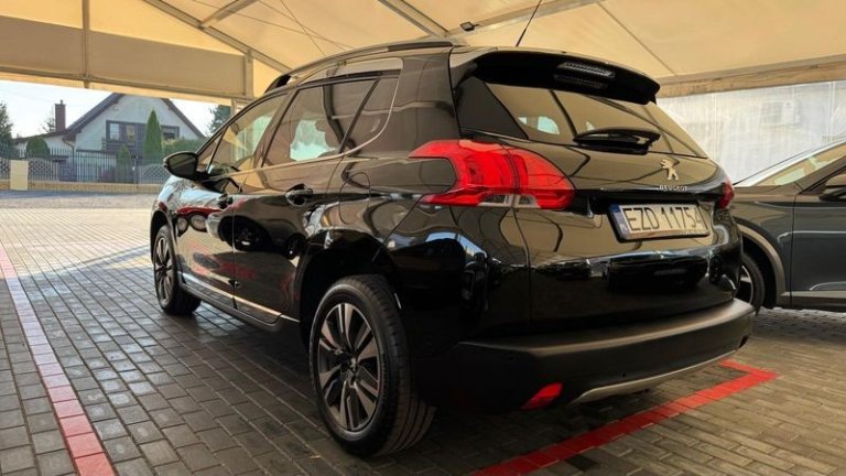 peugeot-2008-120-vti-business-line (36)