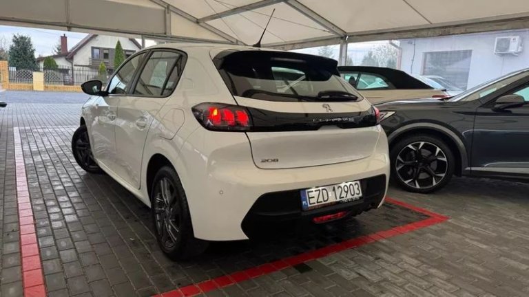 peugeot-208-12-puretech-active-ss (12)