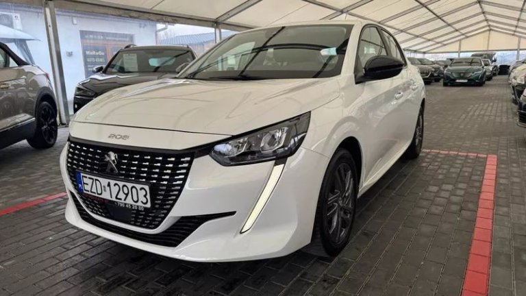 peugeot-208-12-puretech-active-ss (19)