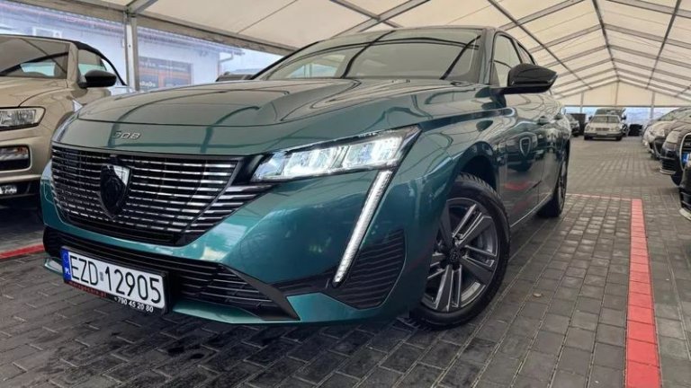 peugeot-308-12-puretech-gpf-active-pack-business-ss (11)