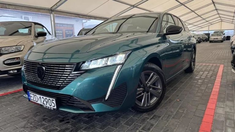 peugeot-308-12-puretech-gpf-active-pack-business-ss (12)