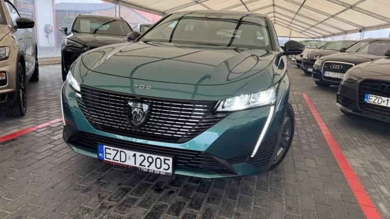 peugeot-308-12-puretech-gpf-active-pack-business-ss (13)