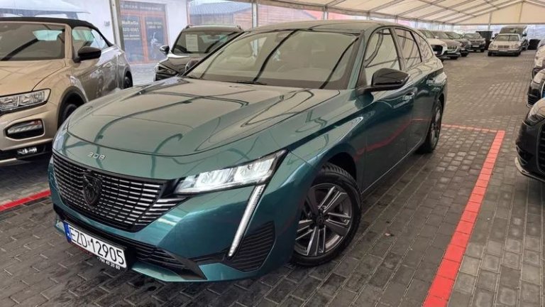 peugeot-308-12-puretech-gpf-active-pack-business-ss (14)