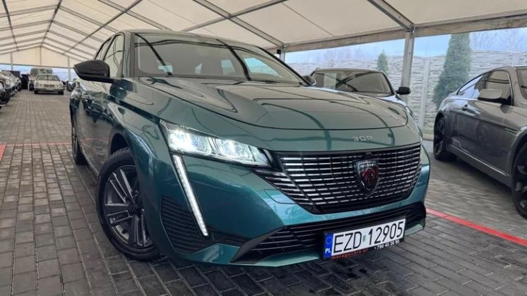 peugeot-308-12-puretech-gpf-active-pack-business-ss (15)