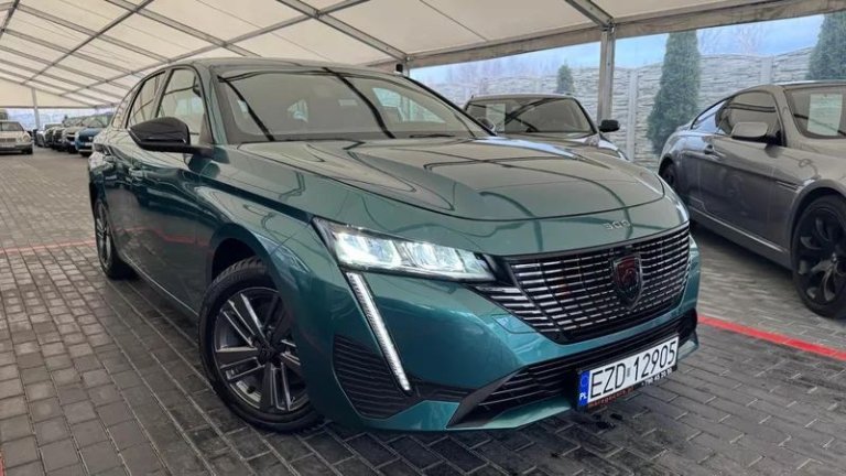 peugeot-308-12-puretech-gpf-active-pack-business-ss (16)