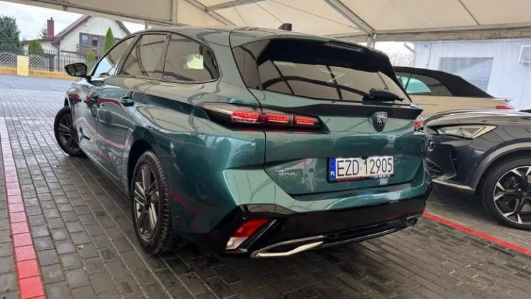 peugeot-308-12-puretech-gpf-active-pack-business-ss (18)