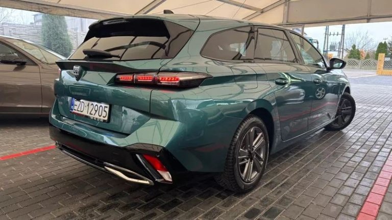 peugeot-308-12-puretech-gpf-active-pack-business-ss (19)