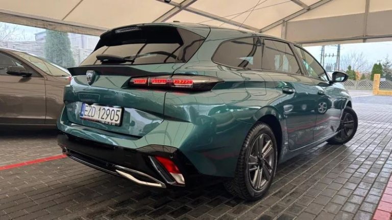 peugeot-308-12-puretech-gpf-active-pack-business-ss (21)