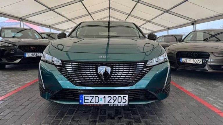 peugeot-308-12-puretech-gpf-active-pack-business-ss (23)