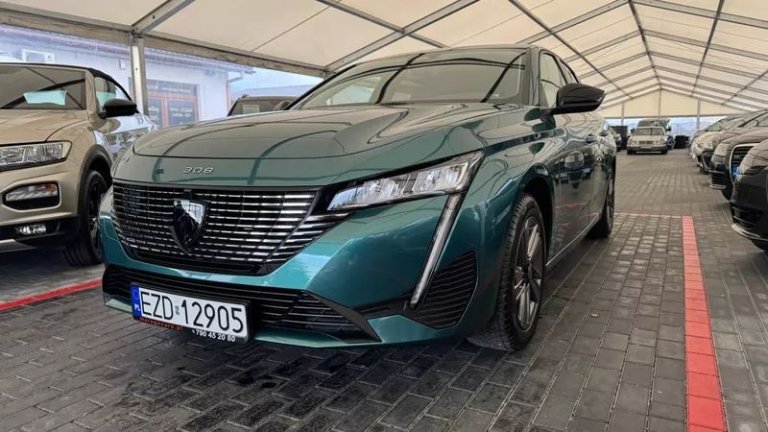 peugeot-308-12-puretech-gpf-active-pack-business-ss (24)