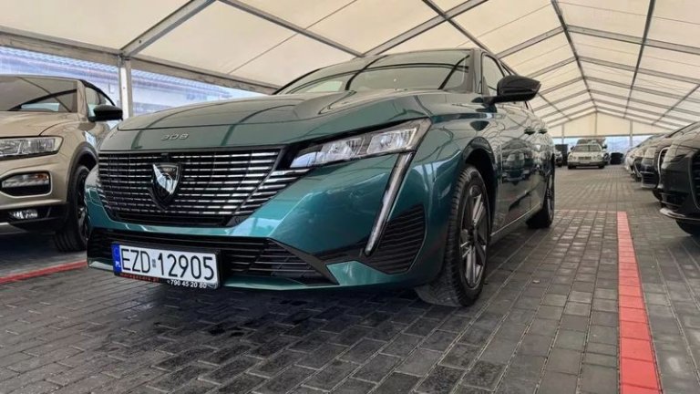 peugeot-308-12-puretech-gpf-active-pack-business-ss (25)