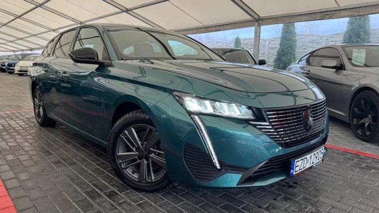 peugeot-308-12-puretech-gpf-active-pack-business-ss (26)