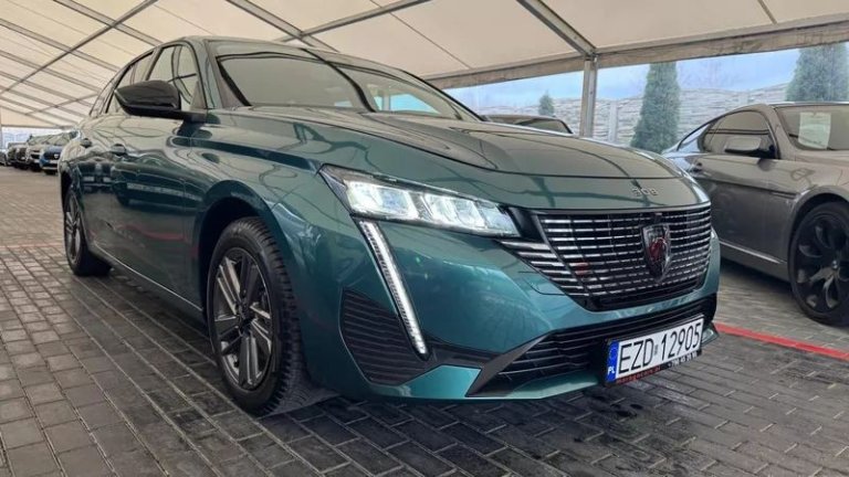 peugeot-308-12-puretech-gpf-active-pack-business-ss (3)