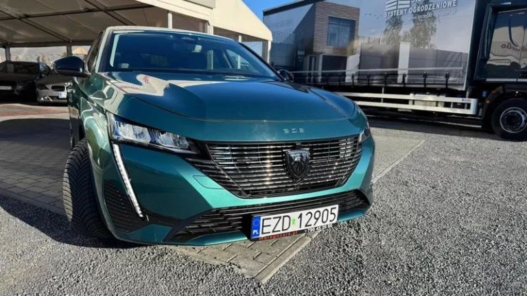 peugeot-308-12-puretech-gpf-active-pack-business-ss (35)