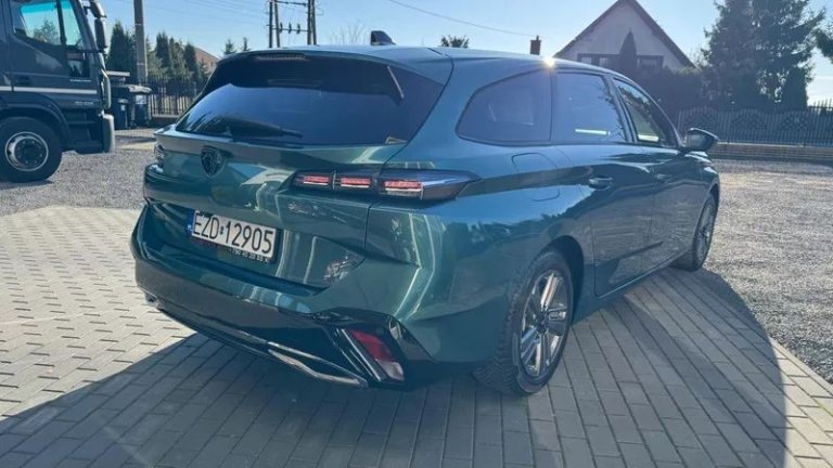 peugeot-308-12-puretech-gpf-active-pack-business-ss (38)