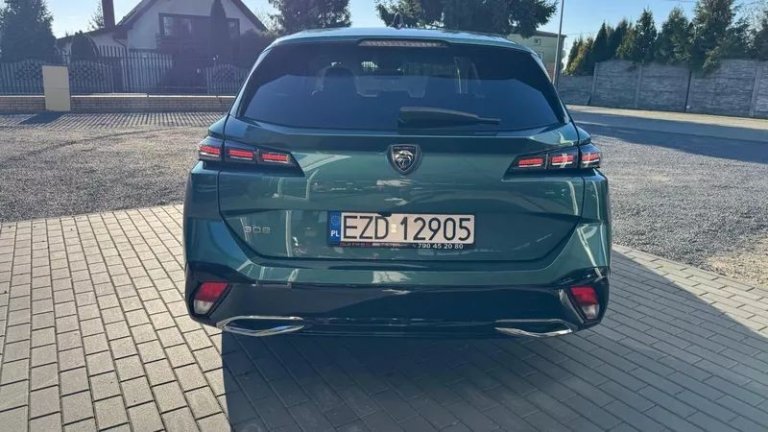 peugeot-308-12-puretech-gpf-active-pack-business-ss (39)