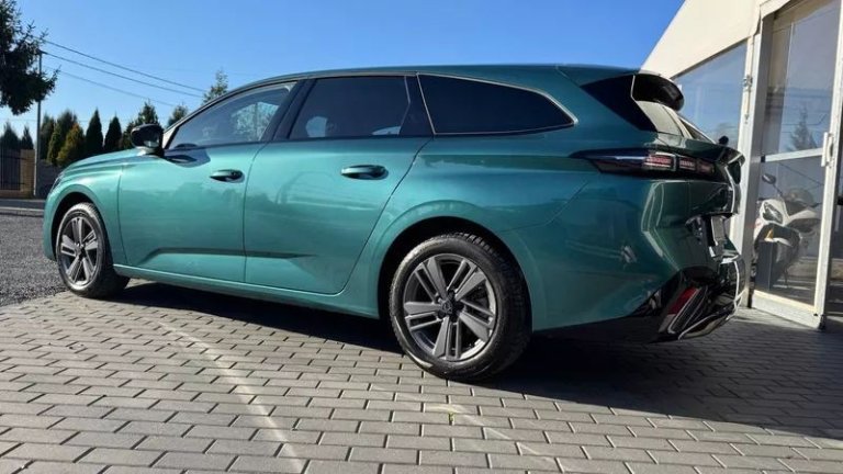 peugeot-308-12-puretech-gpf-active-pack-business-ss (40)