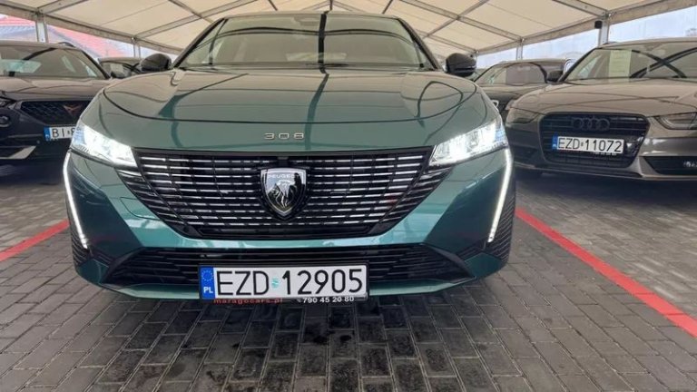 peugeot-308-12-puretech-gpf-active-pack-business-ss (4)