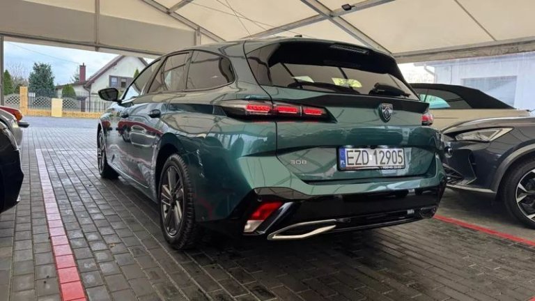 peugeot-308-12-puretech-gpf-active-pack-business-ss (9)