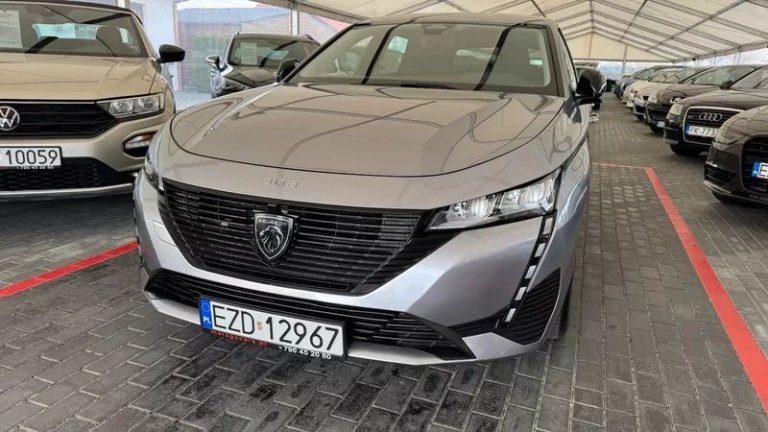 peugeot-308-15-bluehdi-active-pack-business-ss (21)