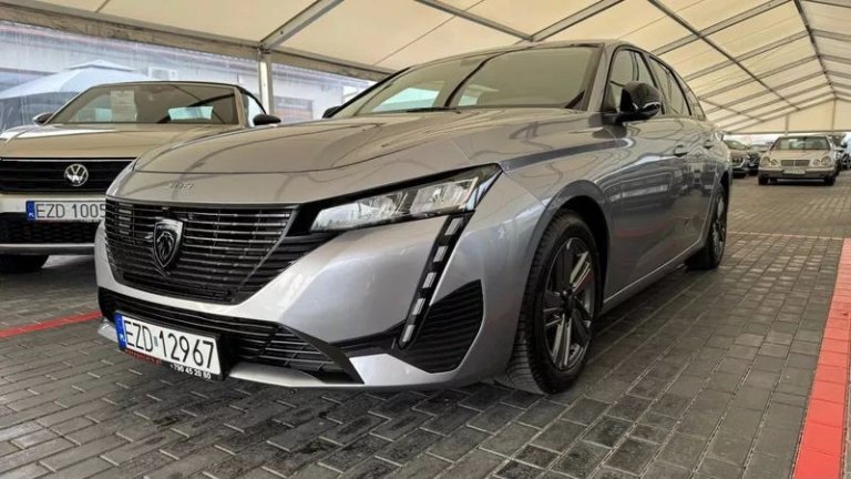 peugeot-308-15-bluehdi-active-pack-business-ss (22)