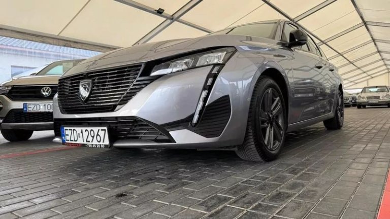 peugeot-308-15-bluehdi-active-pack-business-ss (23)