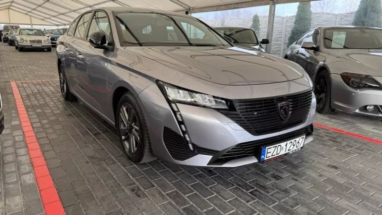 peugeot-308-15-bluehdi-active-pack-business-ss (24)