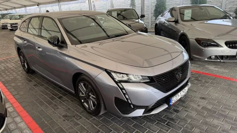 peugeot-308-15-bluehdi-active-pack-business-ss (26)