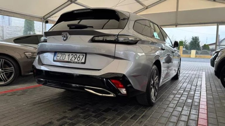 peugeot-308-15-bluehdi-active-pack-business-ss (28)