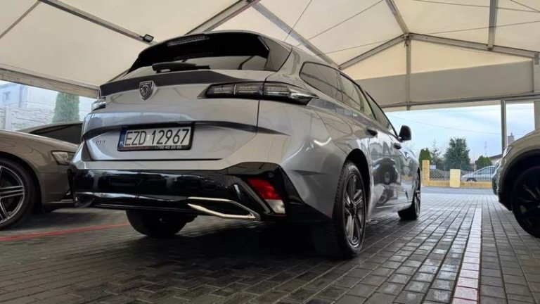 peugeot-308-15-bluehdi-active-pack-business-ss (29)