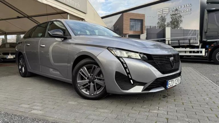 peugeot-308-15-bluehdi-active-pack-business-ss (3)